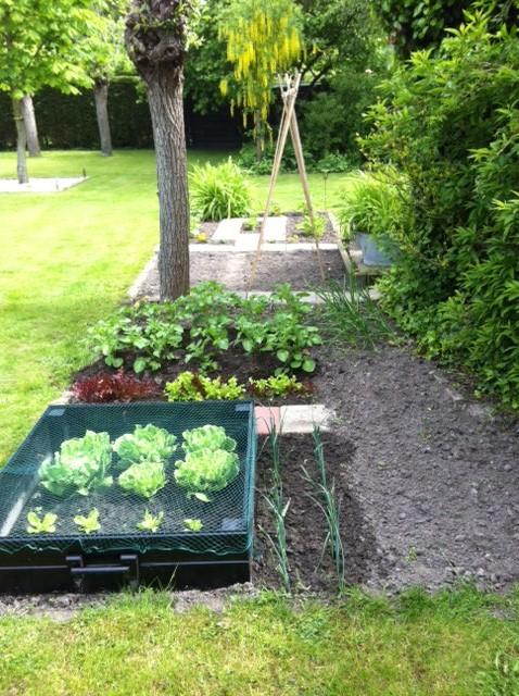 tuin-04-05-13-212721370336849.JPG