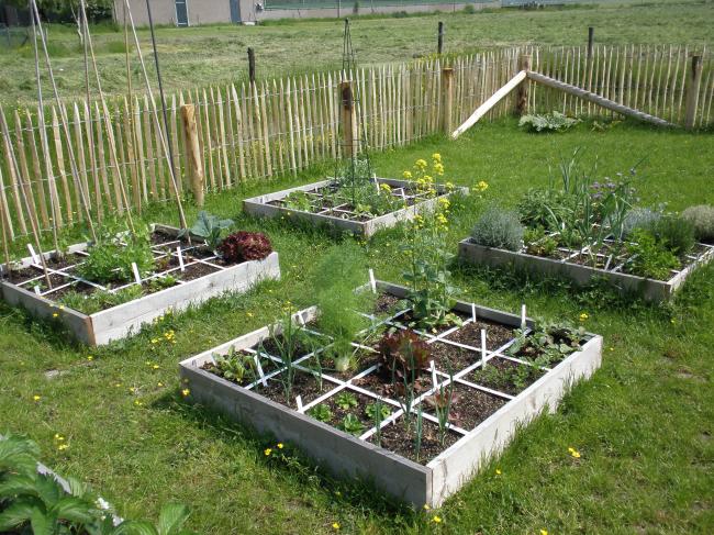 tuin-13945621337857686.jpg