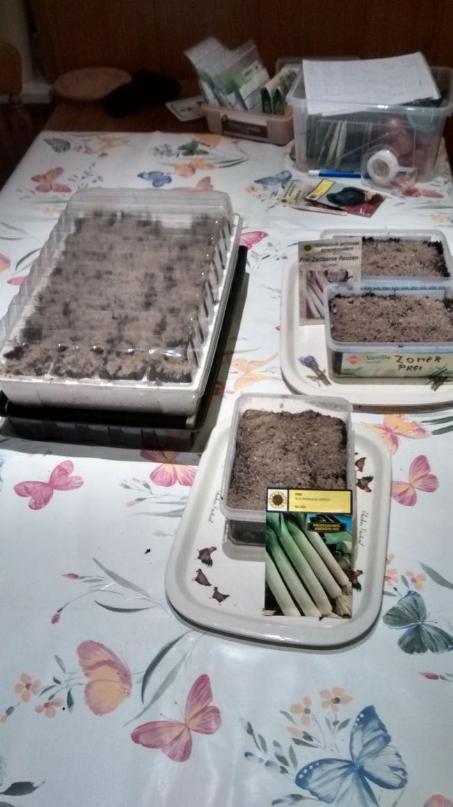 tuin-2015-02-26-eerste-zaaigoed-prei-en-kweekbakje-met-sla-andijvie-en-kool57321425217221.jpg