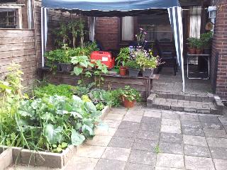 tuin-geheel45231341470950.png