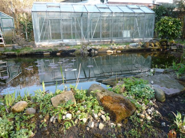 tuin-kas-00192511369169586.JPG