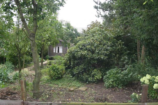 tuin-oud18671334059367.jpg