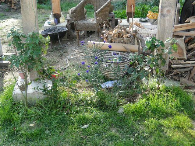 tuin-vorst-02944141381037902.JPG