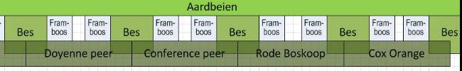 tuin122661427615524.JPG
