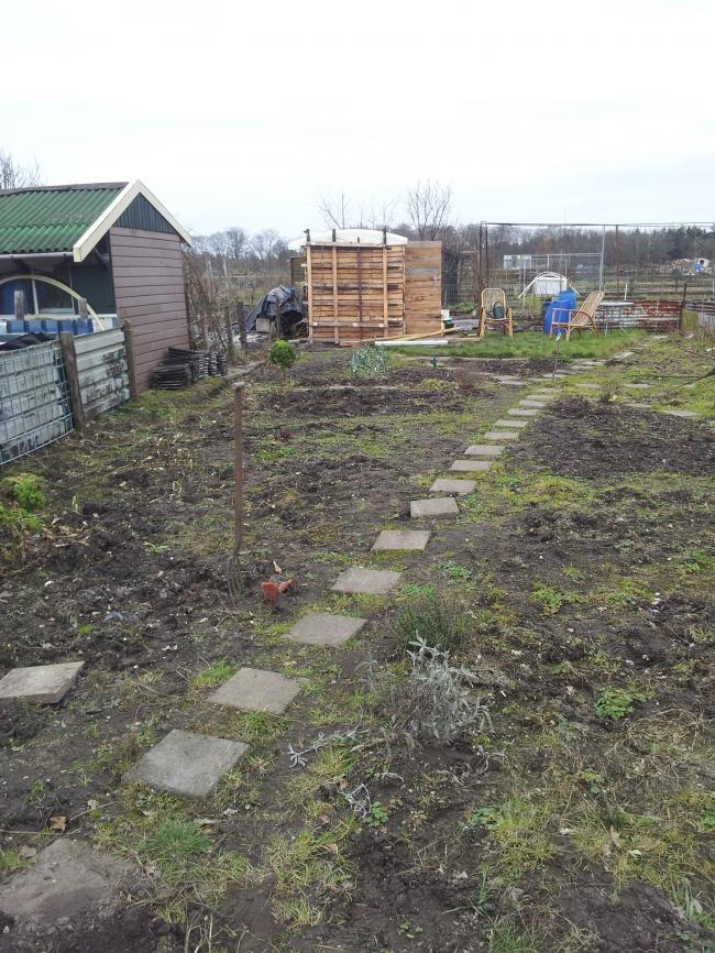 tuin13-3-276991363517870.jpg