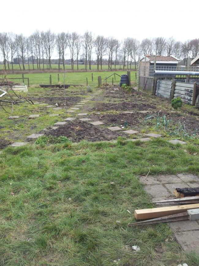 tuin13-3-357401363517881.jpg