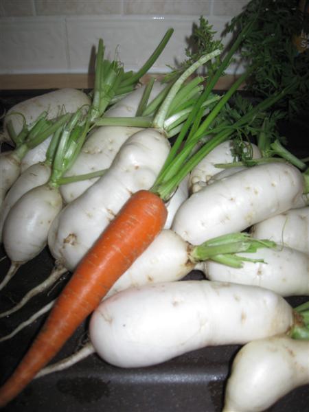 tuin15juli-018-(medium)66761374004118.jpg