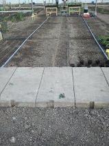 tuin1799581335341573.png