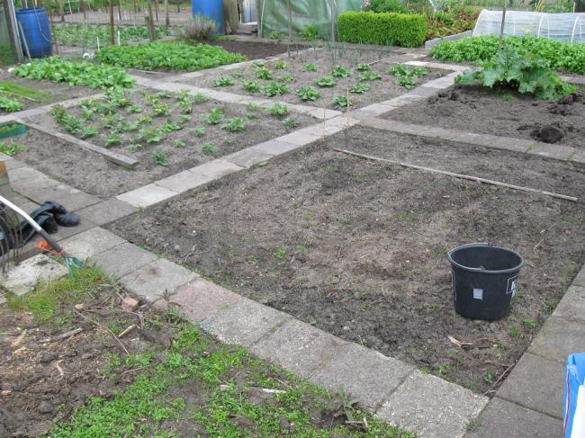 tuin19mei-00393881337455615.JPG