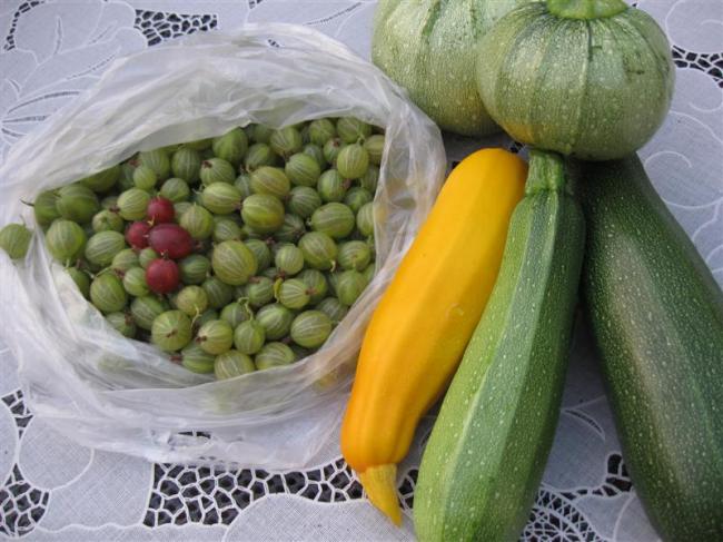 tuin27juli-002-(medium)79691375034315.jpg