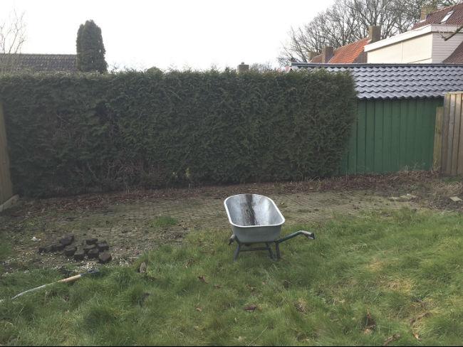 Afbeelding