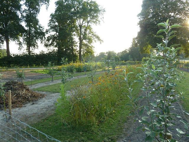 tuin360771473271754.JPG