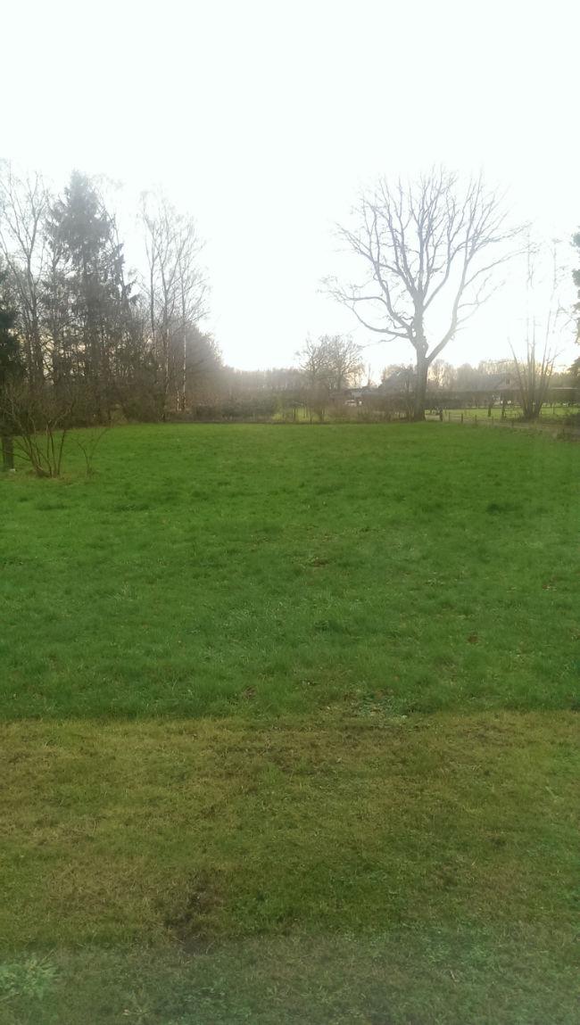 tuin39111388408875.jpg