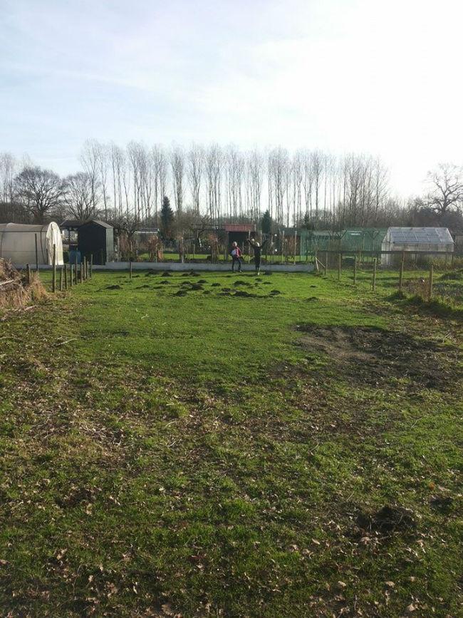 tuin419451391071442.jpg