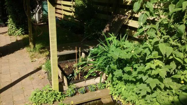 tuin450081465547646.jpg