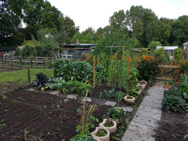 tuin66701504209727.jpg