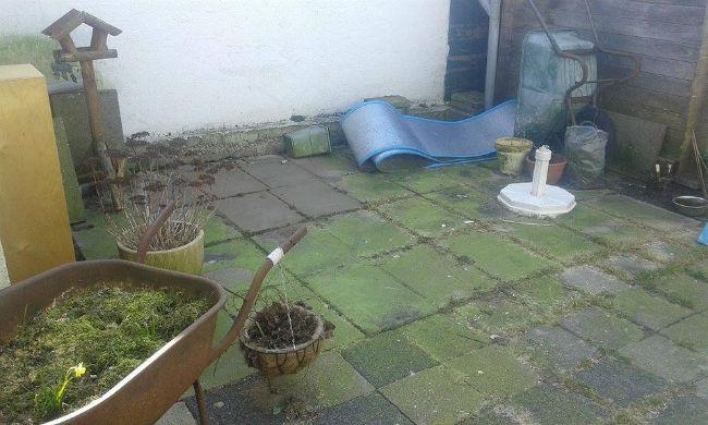 tuin74201457989187.jpg