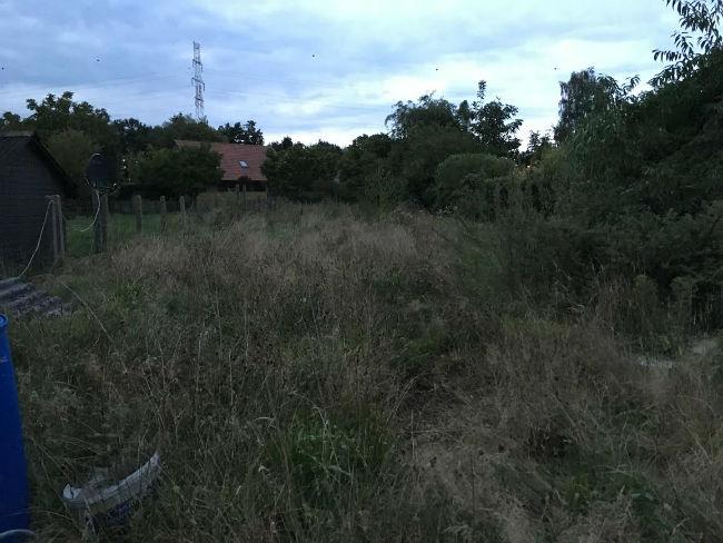 tuin93181474392374.jpg