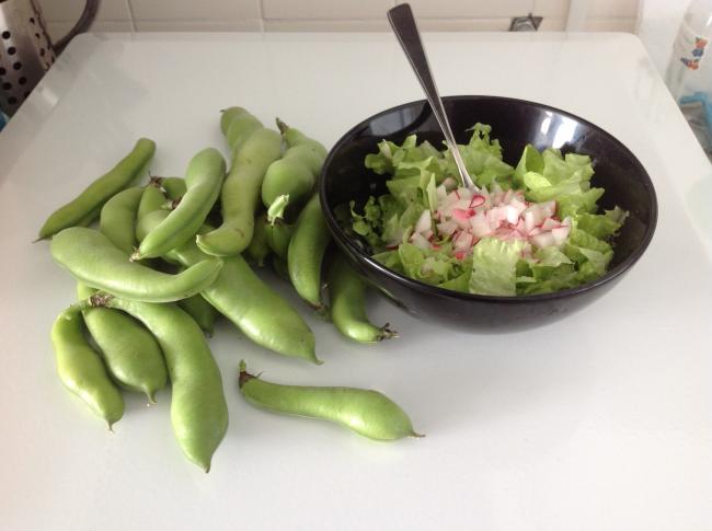 tuinbonen-en-sla-juli72261373787765.JPG