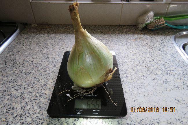 ui1143231533114405.JPG
