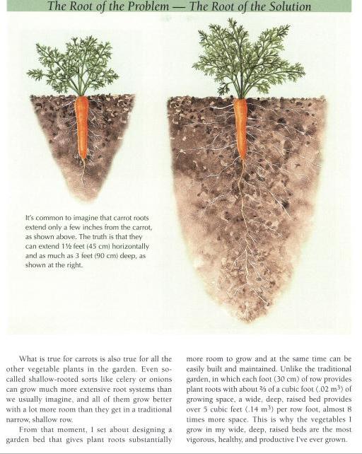 vegetable-garden-bible46251333527885.jpg