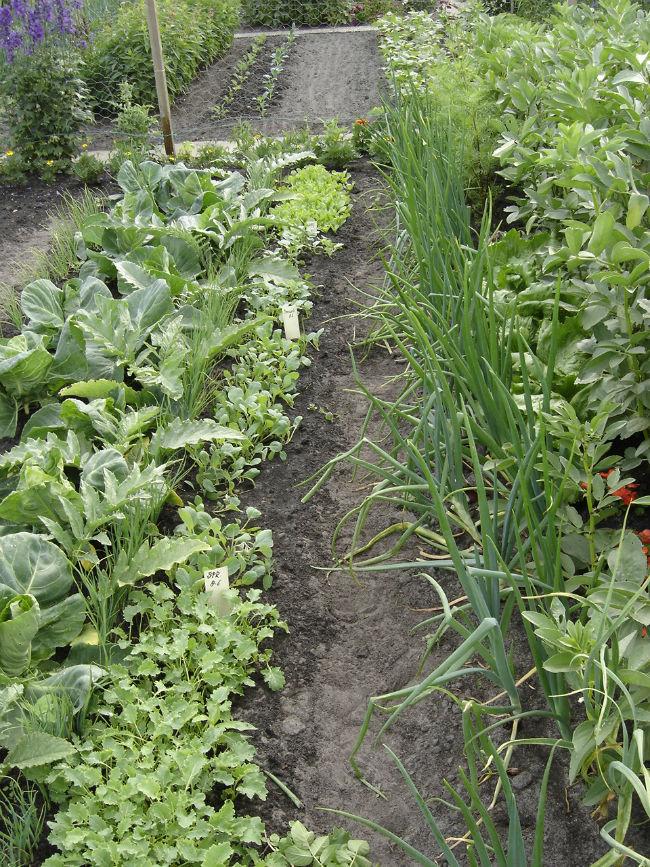 vtuinz-02122661383680608.jpg