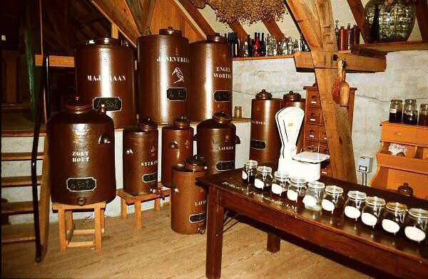 watermolen-Arcen-5166621477943974.jpg