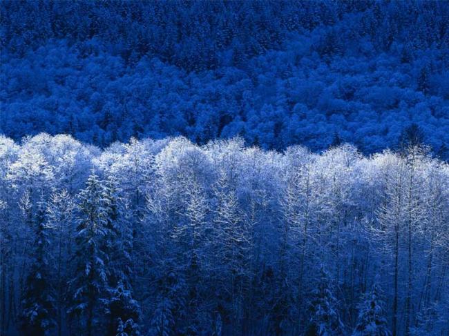 winter77311345381372.jpg