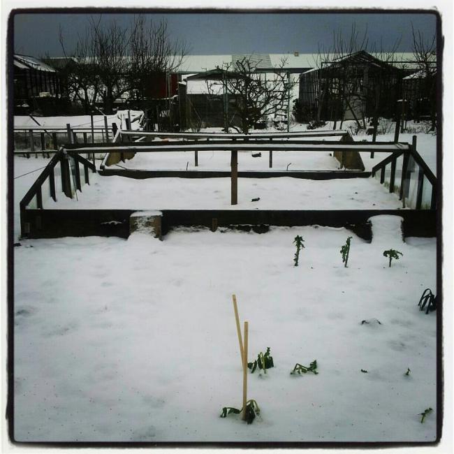 wintertuin20151358681302.jpg
