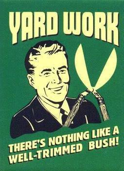 yardworkxlarge11431428099223.jpeg