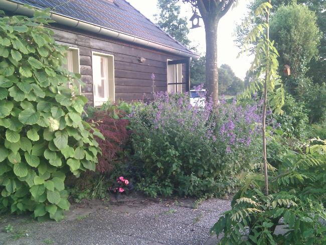 zijtuin-7-juli-201338391390341526.jpg