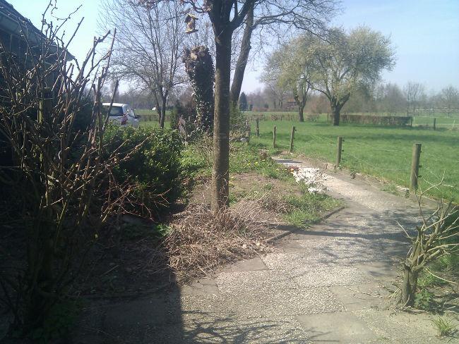 zijtuin-maart-201341841390341440.jpg