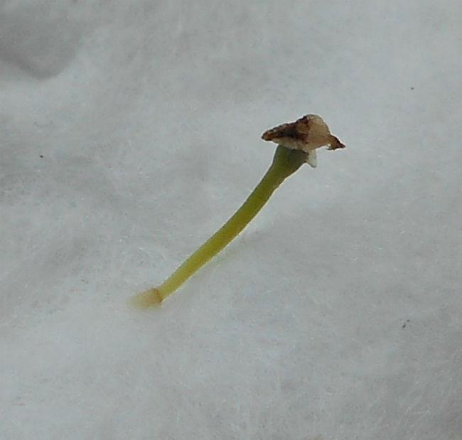 zk13271452070512.jpg