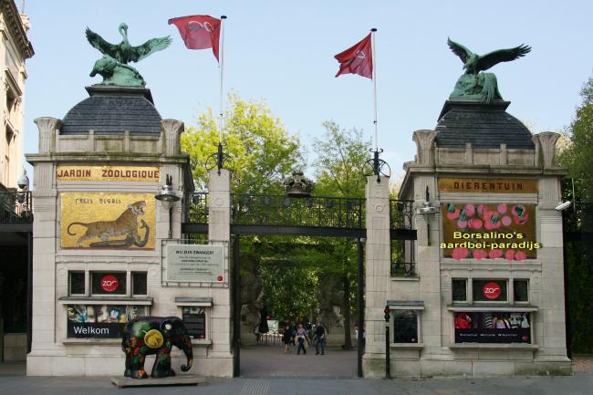 zooantwerpen76051344198649.jpg