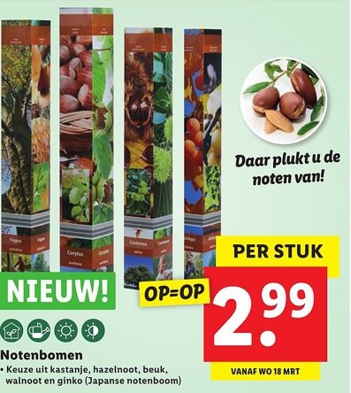 1692346377_notenboomlidl.jpg.02a4c3b86c3bfb3adeac994880e0565c.jpg