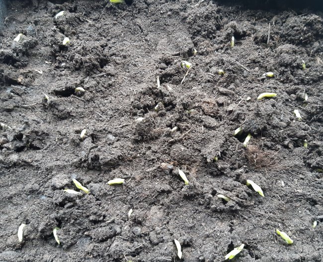 20200302_113545 (2).jpg