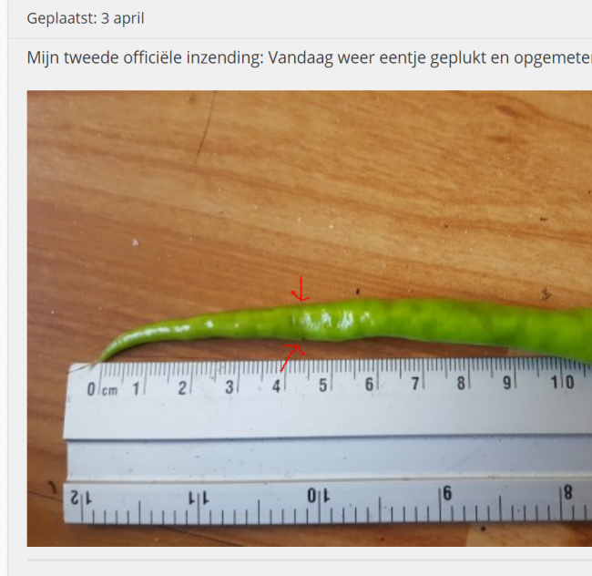 image.png.facc05716fc247e57387a8e8229dfb3a.png