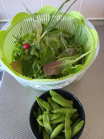 1342012447_mei1.jpg.828528b64126acd7ac616d560c7ccbfe.jpg