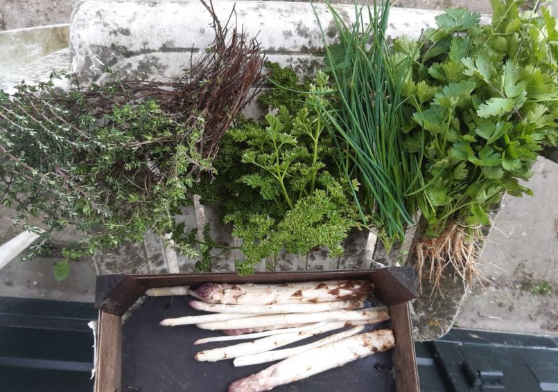 20200429_124600 (2).jpg