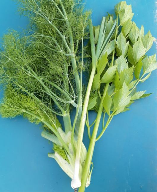 20200513_143453 (2).jpg