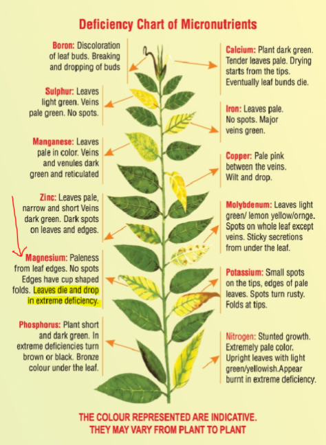 image.thumb.png.f61495925ecc249781acf7acaba072dd.png