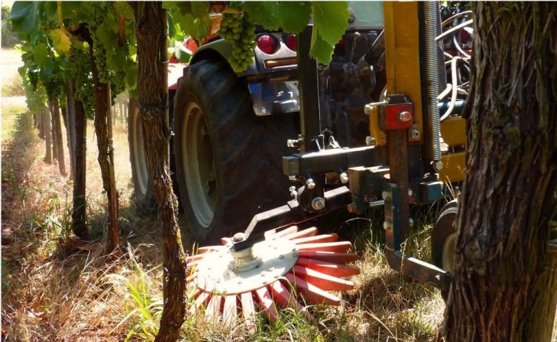 Vingerwieder Maxus.jpg