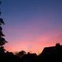 Loeske_