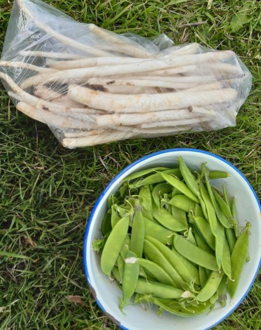 20200612_142328 (2).jpg