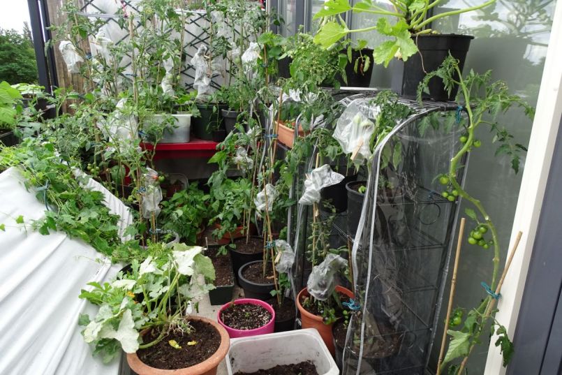 2020 07 07  lang regen op komst.jpg