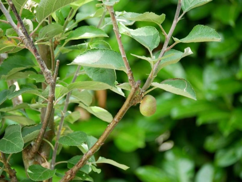 WhatsApp Image 2020-07-29 at 15.39.21.jpeg