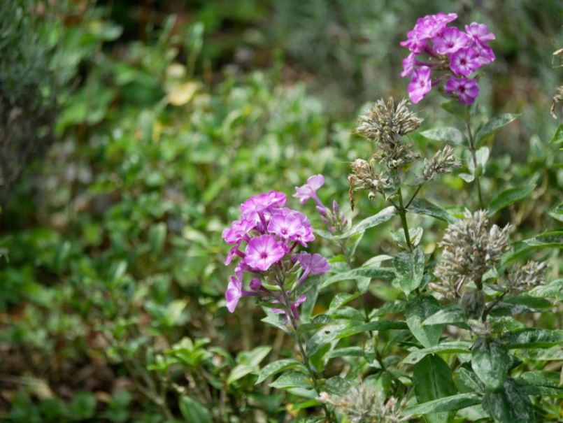 E8991C20-267C-48DC-AD0B-D3797B035B81.jpeg