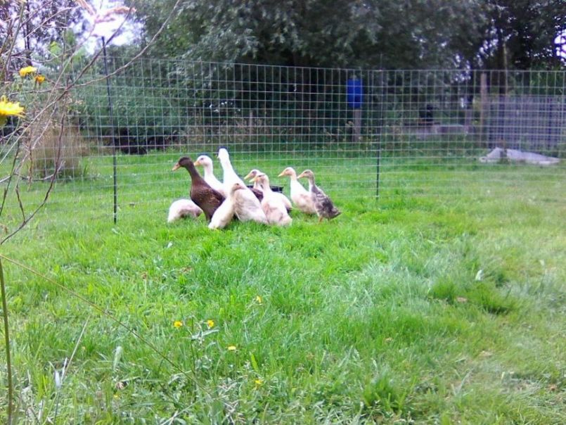 Photo1226.jpg