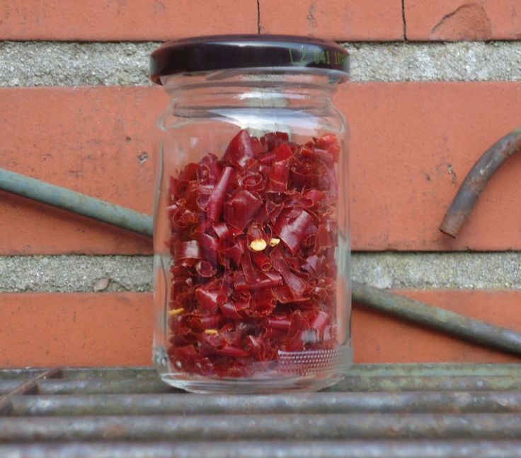 peper 08-08-2020.JPG