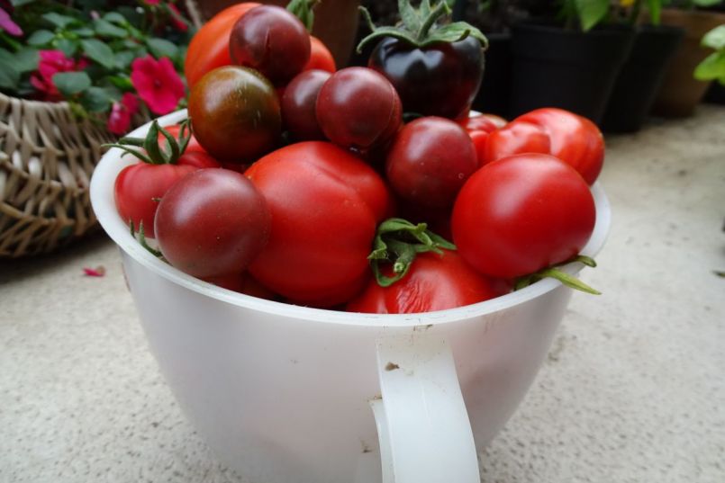 1489053219_Menplukketomaten.thumb.jpg.a44294d2bdfea551284745731cc58556.jpg